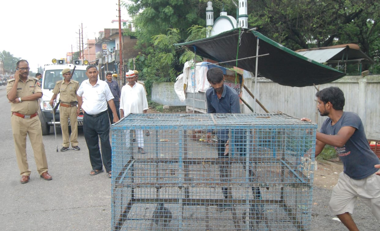 दीवार का निर्माण करा रहा बदमाश पुलिस को देख भागा