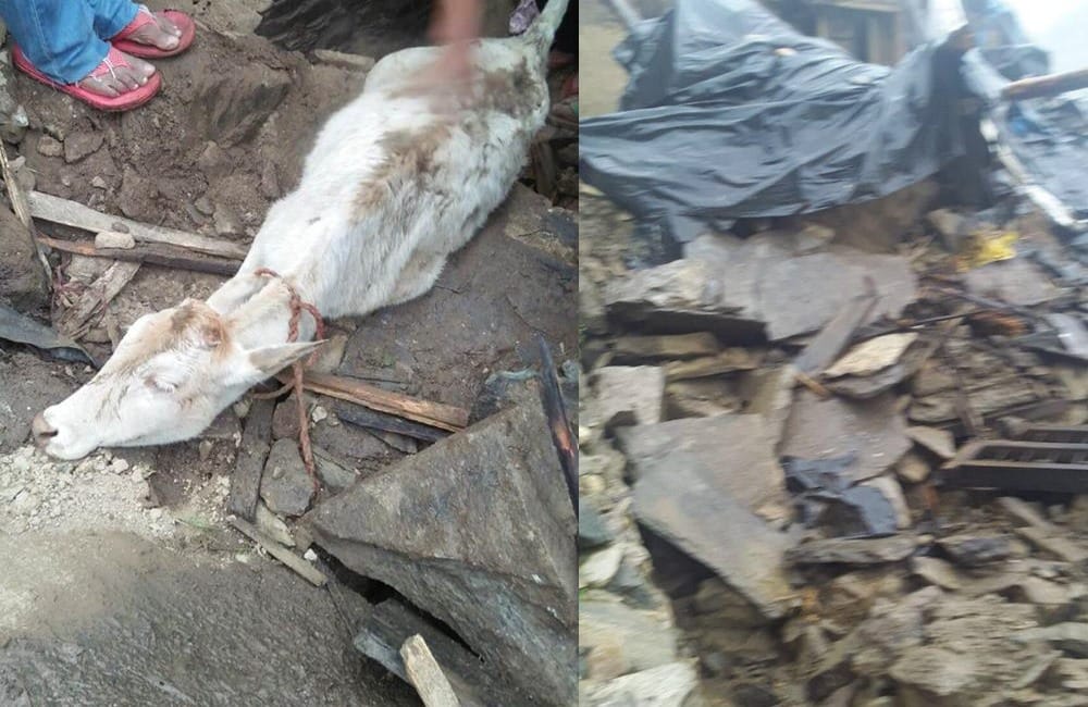 landslide in uttarakhand women and children injured