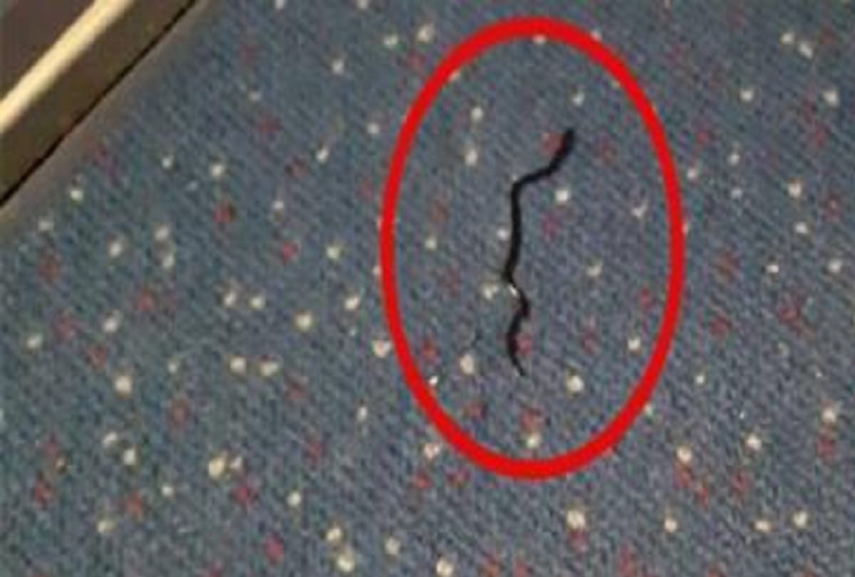  Black Cobra dropped on passenger in Indigo Flight