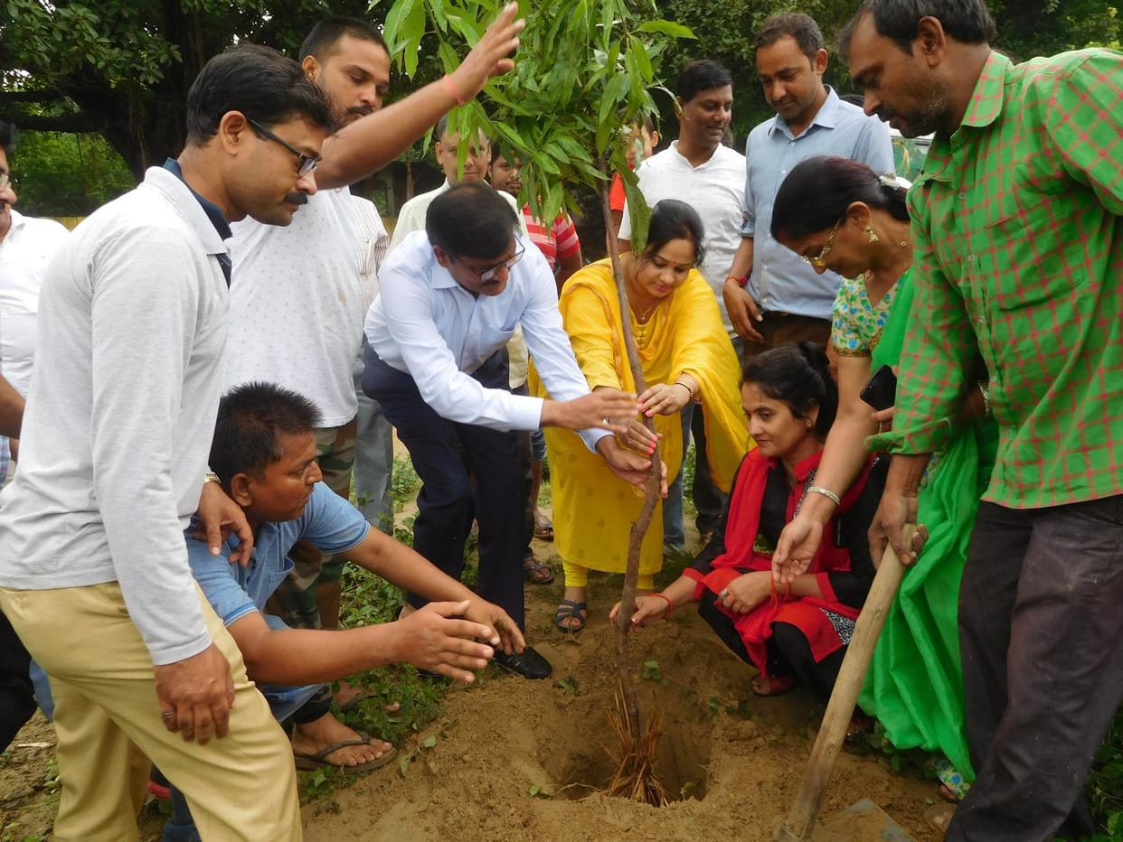 10 lakh plants  bring Green vegetation to
