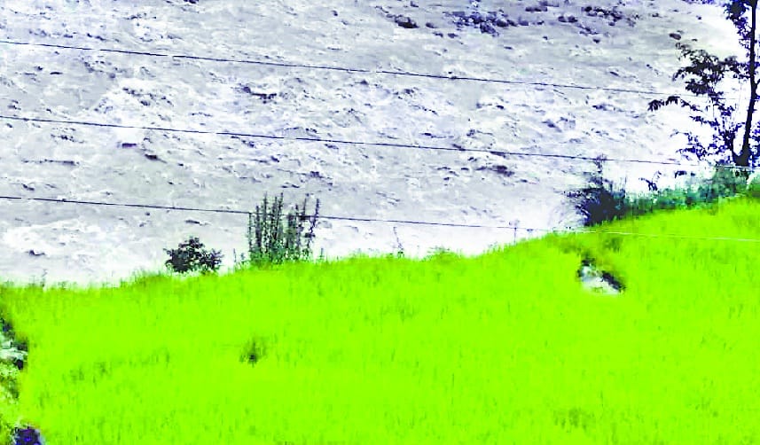 Flowing river flowing in the river