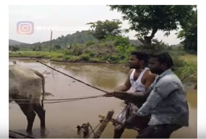 Did you not see viral video 'Kiki Challenge Village Farmers Style India' 