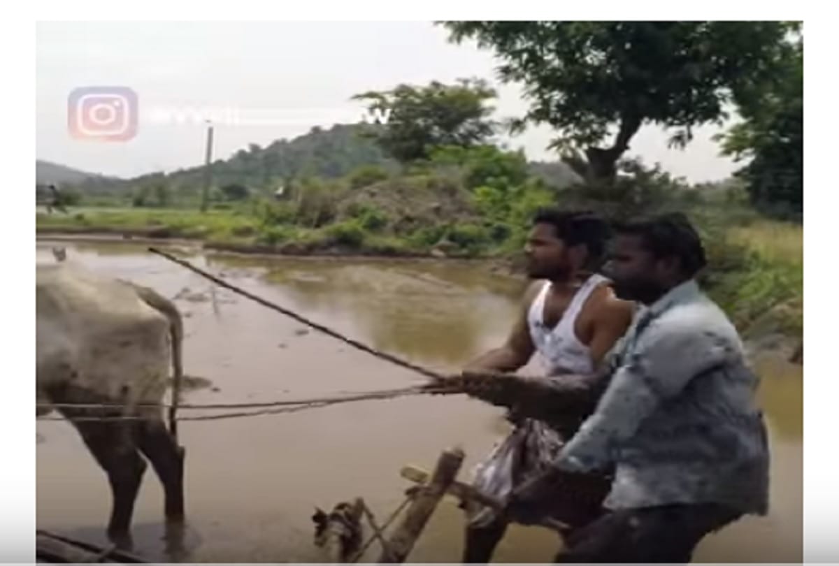 Did you not see viral video 'Kiki Challenge Village Farmers Style India' 