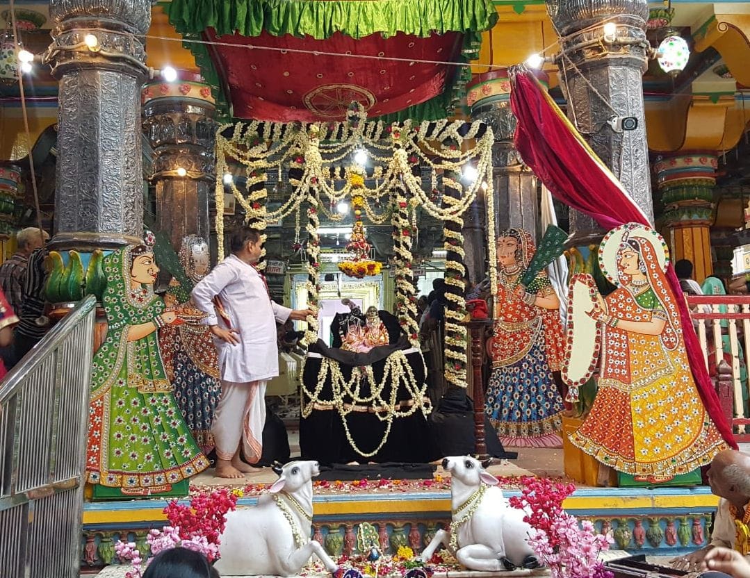 कलियों के हिंडोले में राजाधिराज ने लिए  झोटे