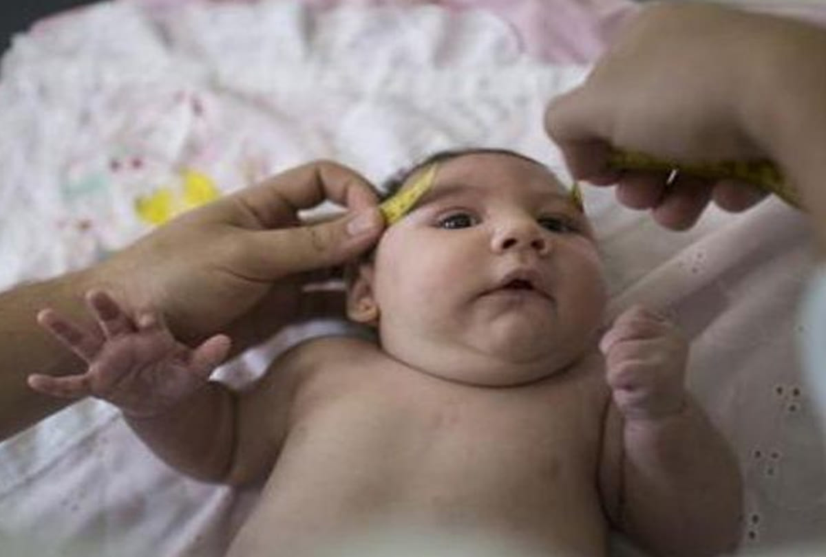 Scientists find out why the newborn children brain is  small