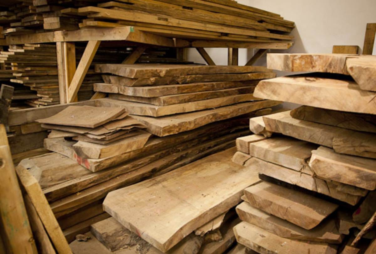 E auction of timber to benefit timber traders in Jammu and Kashmir