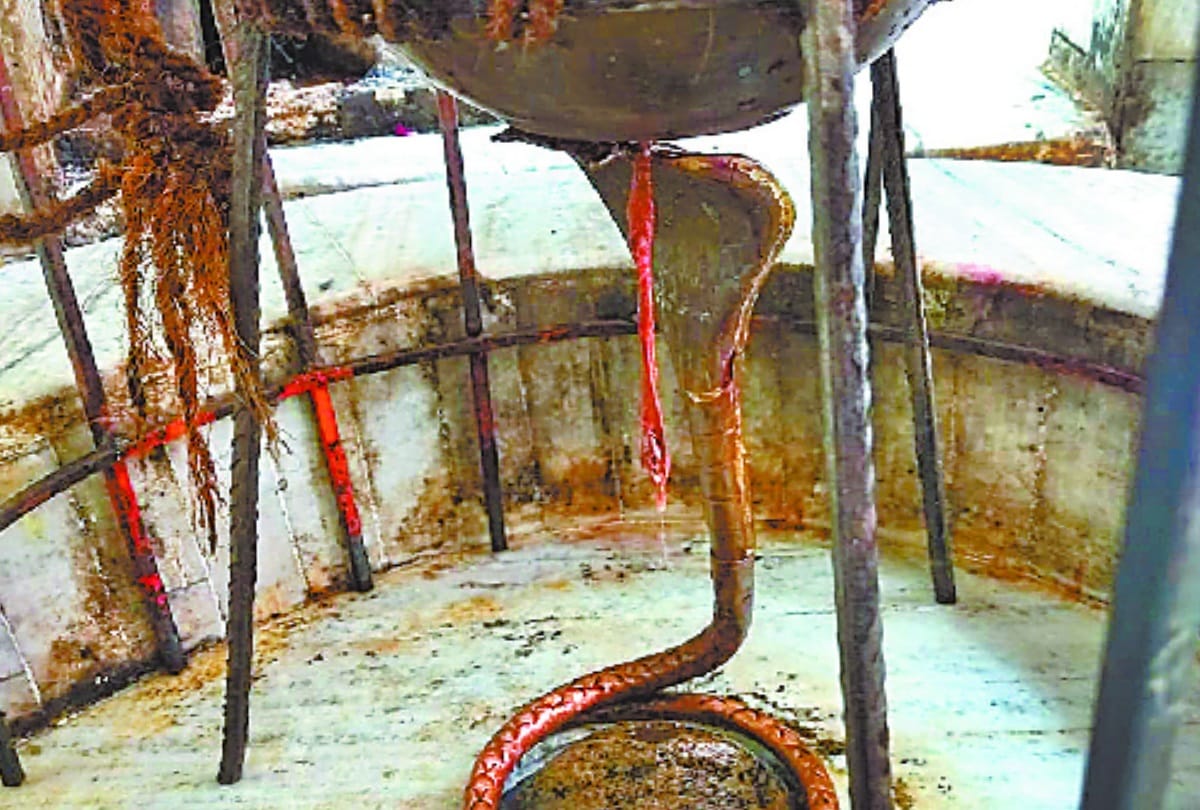 know about bradheswar shiv mandir