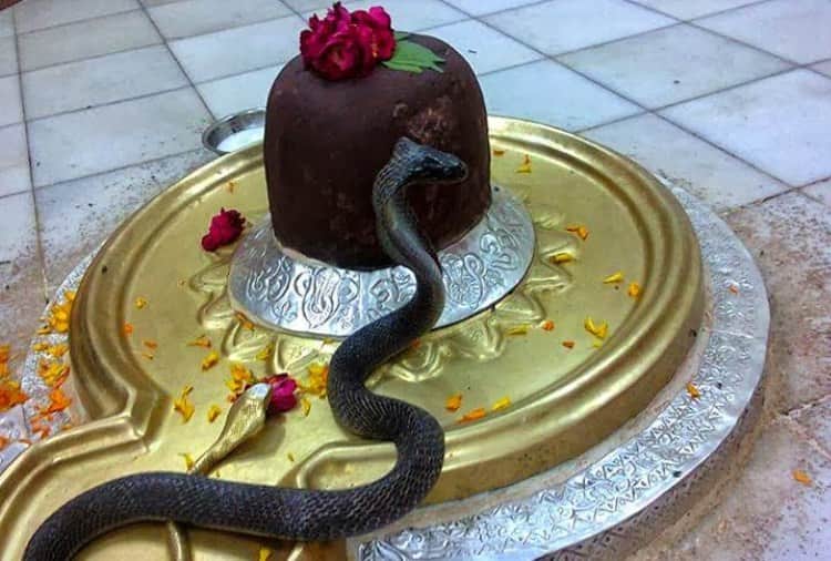Chandigarh, Sawan Month, Nag Panchami Unique Temple of Lord Shiva