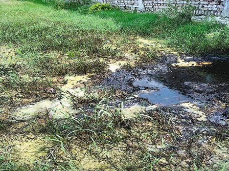 8 bigha crop waste from factory chemicals
