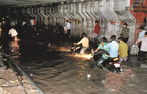 Dropped trees, hospital workers die during rain