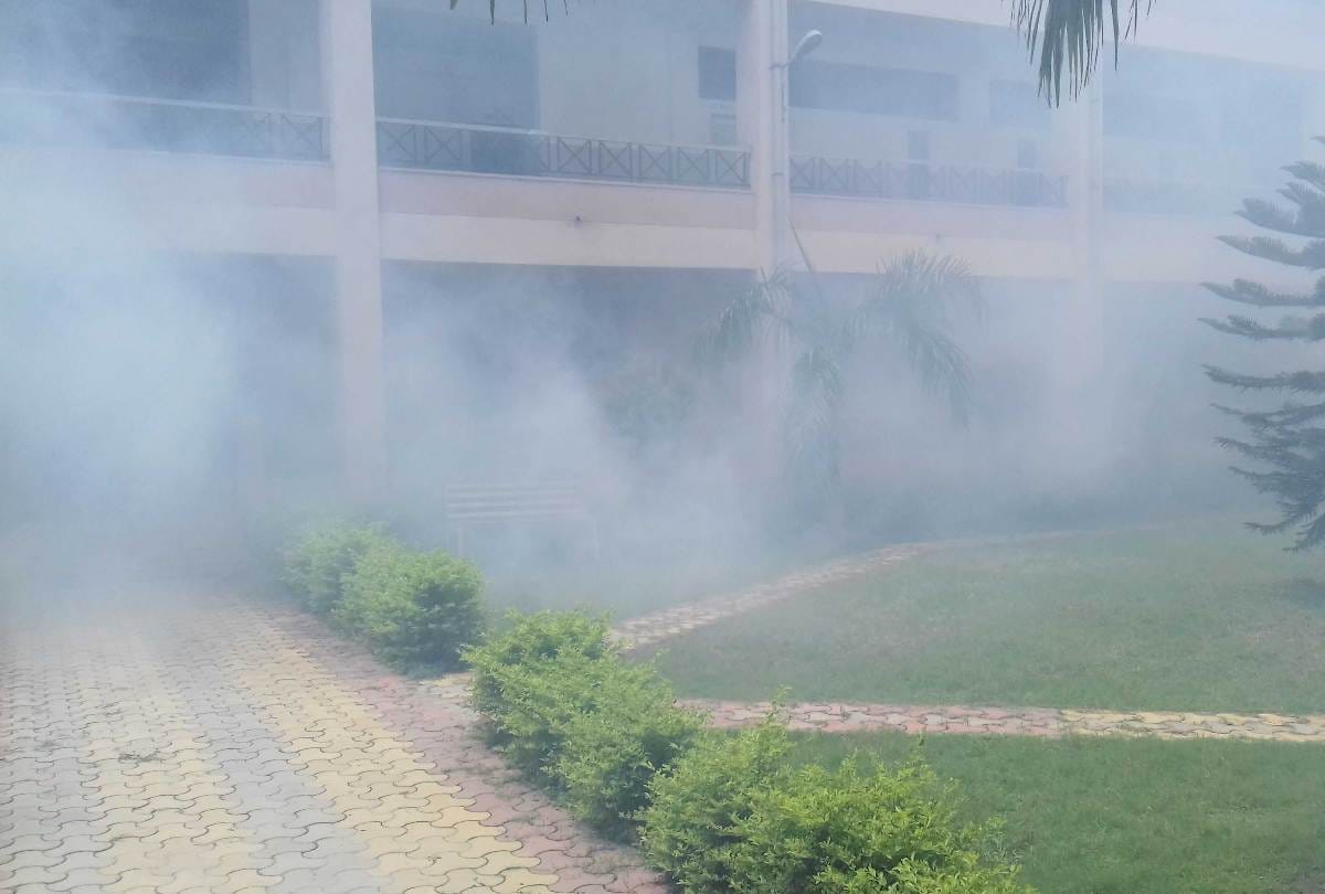 dengue in bilaspur degree college students and staff employees