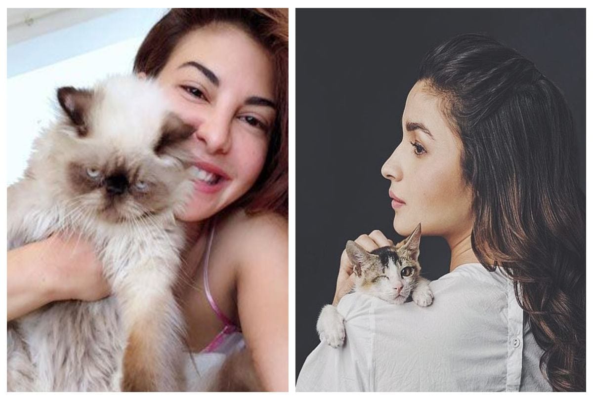 International Cat Day 2018 Funny Photos Of Bollywood Actresses Pet Cats