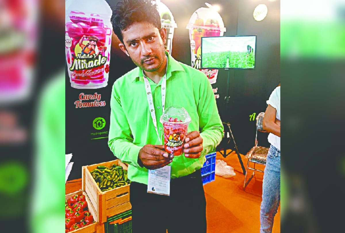 Without soil vegetable is being produced greater noida