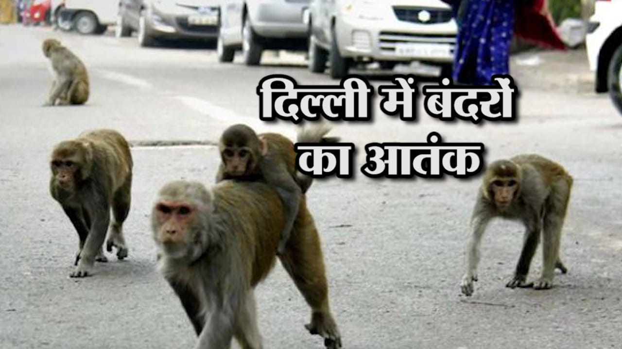 india news