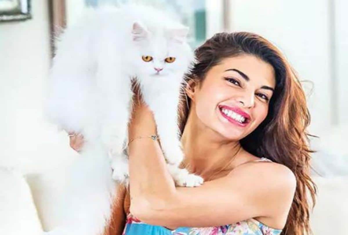 jacqueline fernandez and kiara advani fight reason is sidharth malhotra