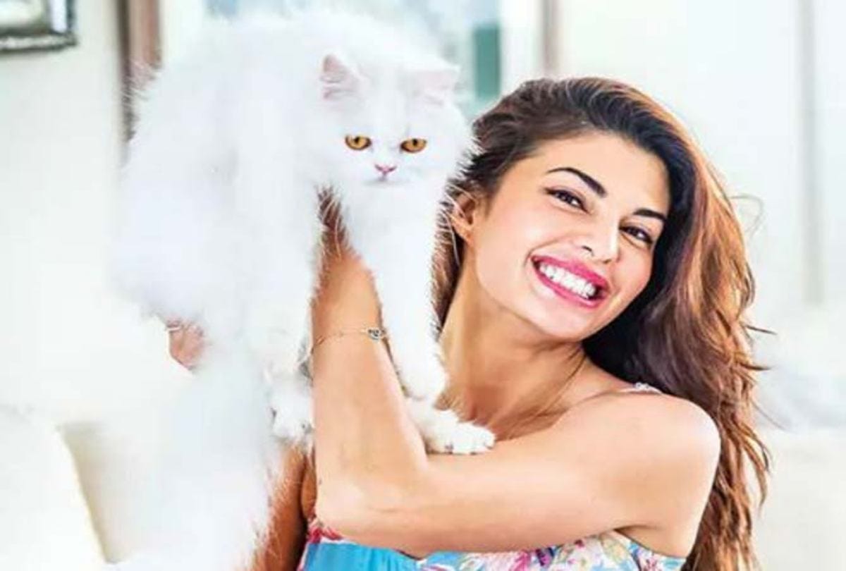 Priyanka Chopra to Salman Khan 7  Bollywood stars With Their Super Adorable Pets