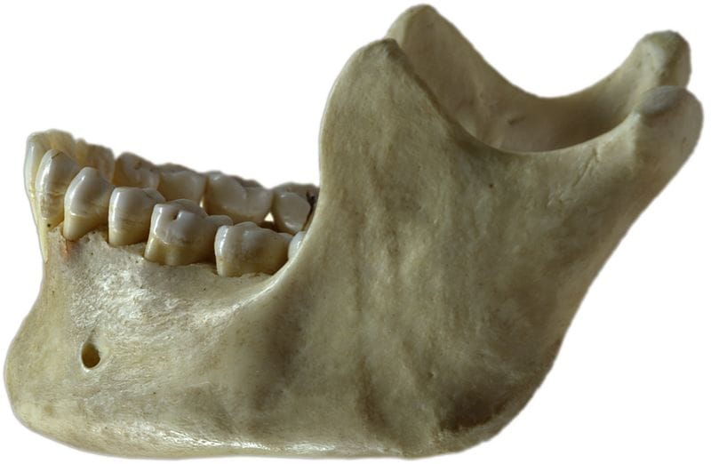 old man Swallow his jaw
