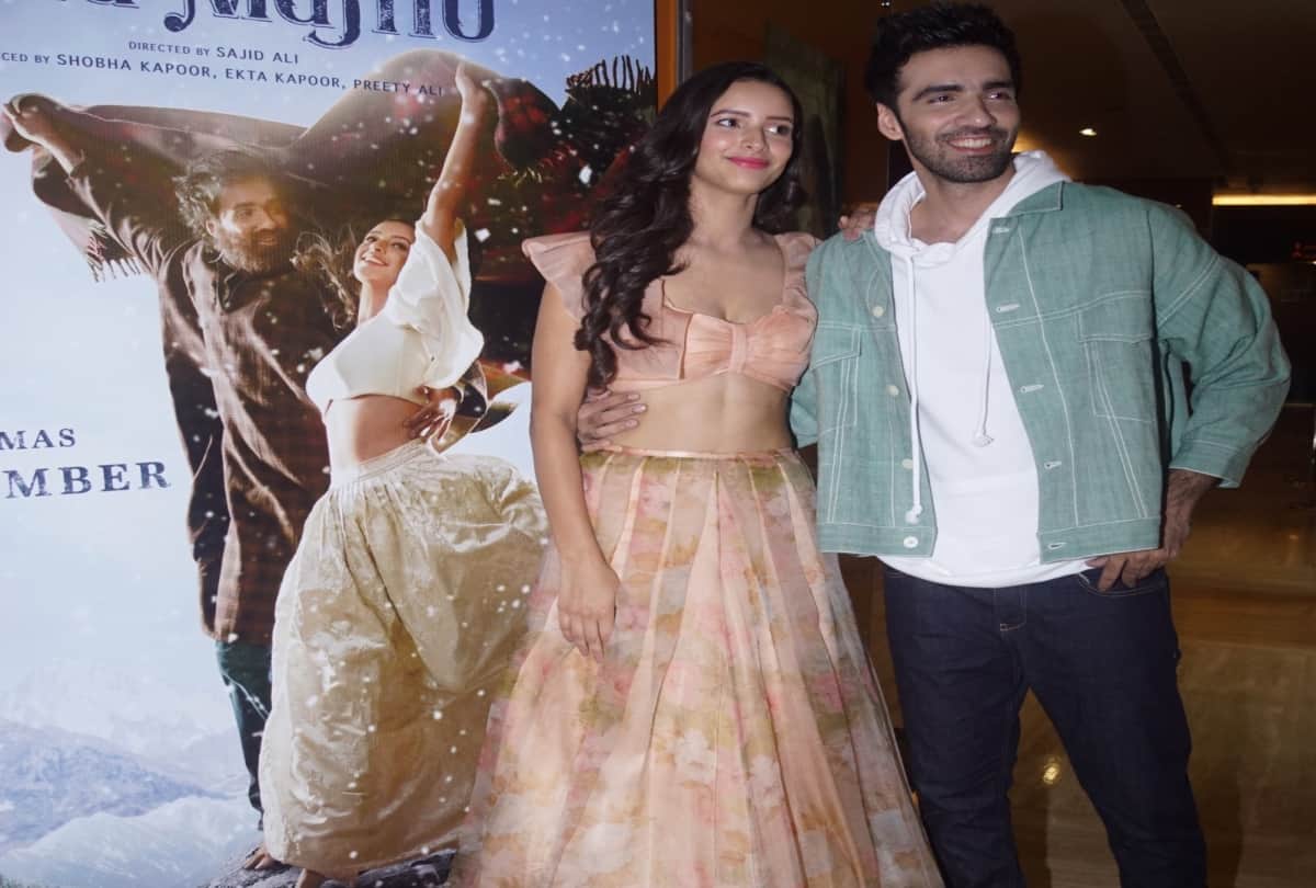 Imtiaz Ali Laila Majnu is Traditional story of Avinash Tiwari and Trupti Dimri