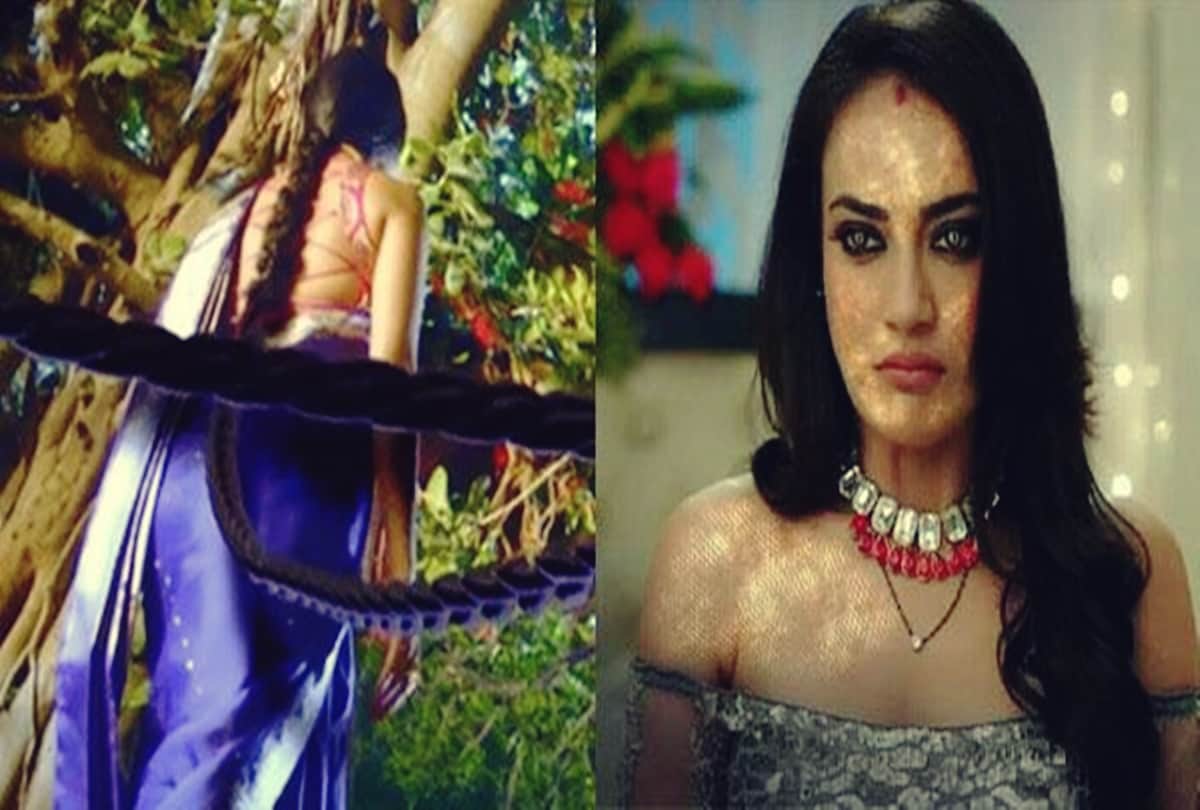 Naagin 3 top again and Nazar gets a good starting in Barc report 