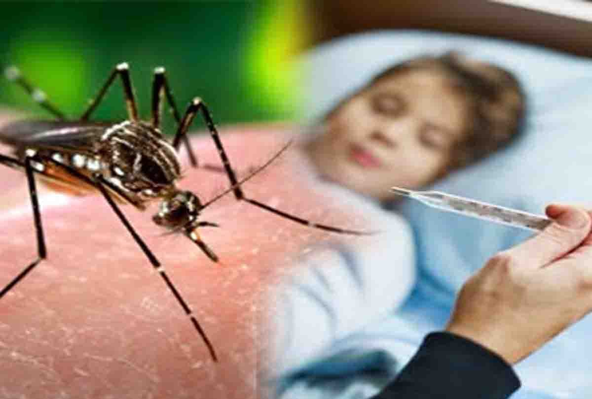 dengue symptoms apear, then immediately do this solution