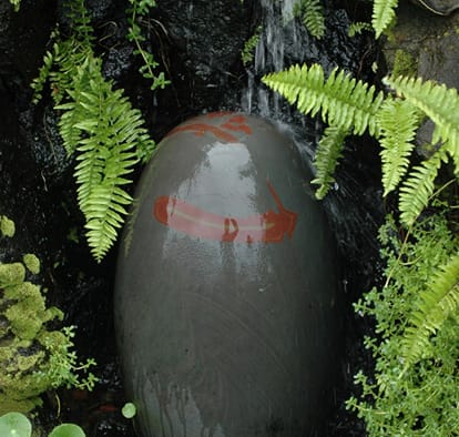 shravan shivratri 2018 Nature also offer Jalawishak of Lord Shiva