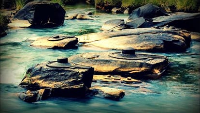 shravan shivratri 2018 Nature also offer Jalawishak of Lord Shiva