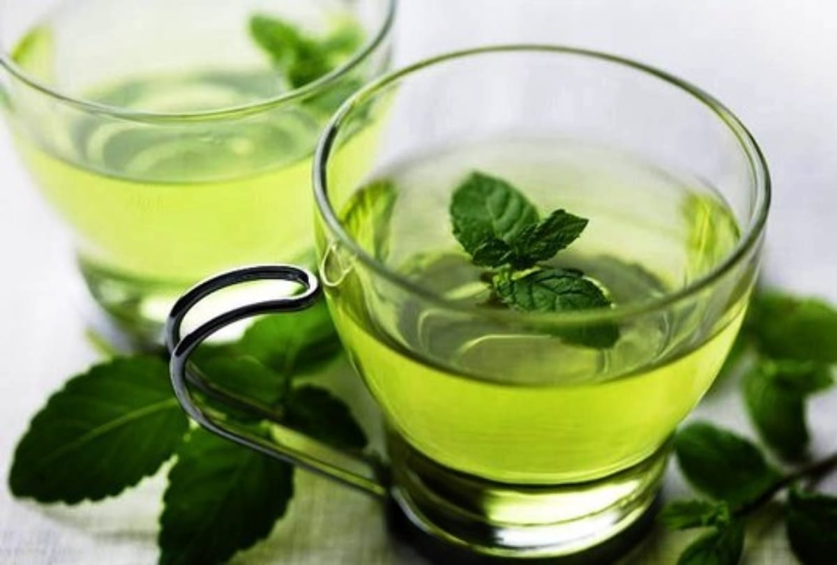 Know the Brief History of the Discovery of Tea