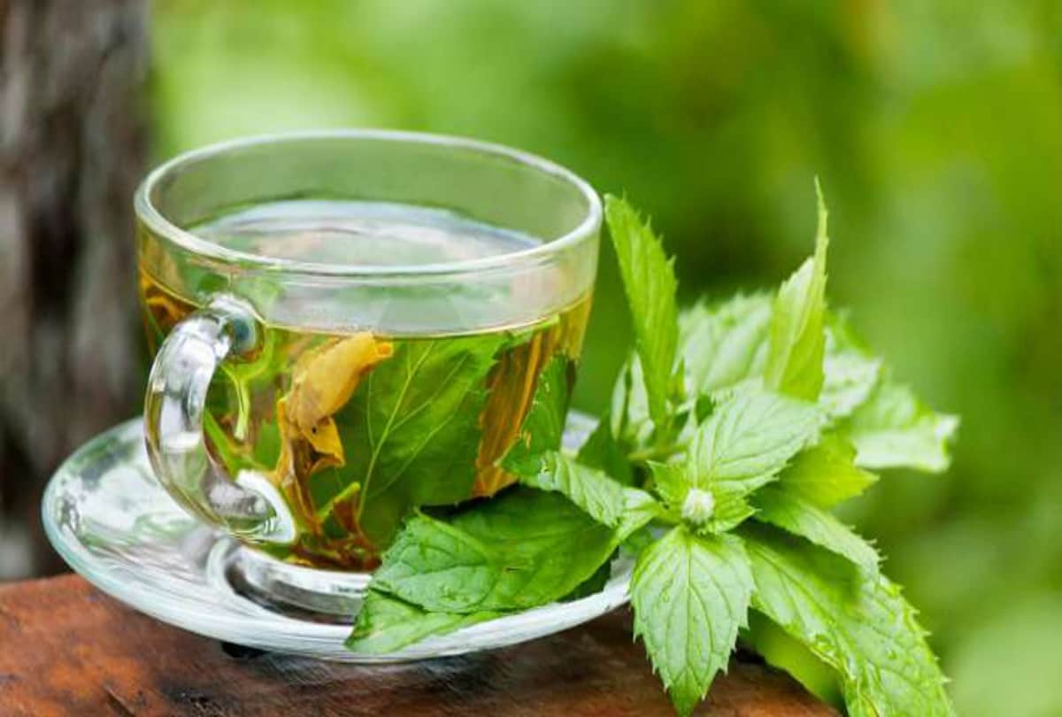 Know the amazing health benefits of Harsingar or Night Jasmine flower