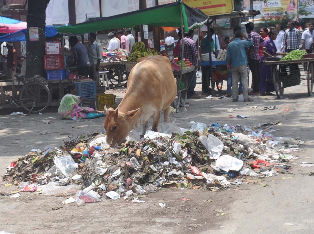 कूड़ा निस्तारण में दिक्कत, सफाई कर्मियों ने खड़े किए हाथ