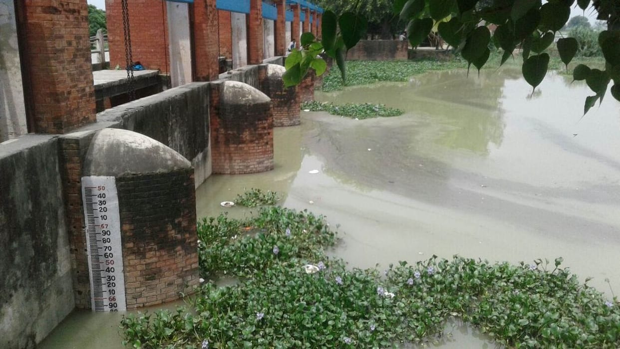 Submerged coastal areas and crop sinking in mau
