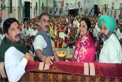  congress himachal incharge rajni patil statement over lok sabha election