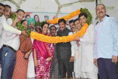  congress himachal incharge rajni patil statement over lok sabha election