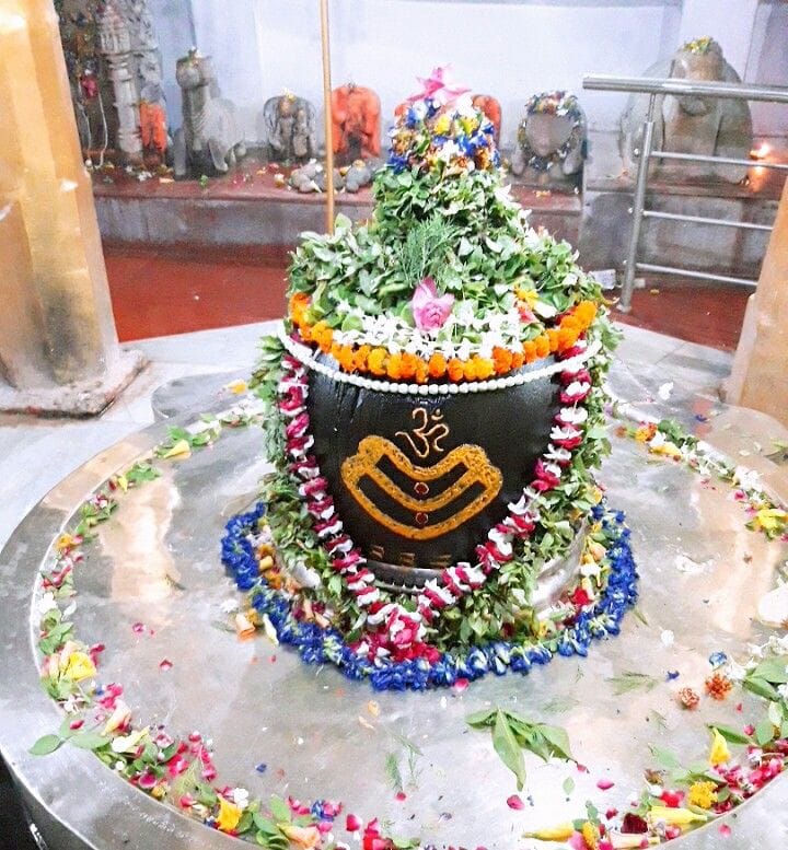 सावन की शिवरात्रि पर शिवालयों में उमड़े शिवभक्त