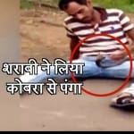 कोबरा