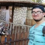 Zoo workers of Egypt painted donkey to look like a zebra