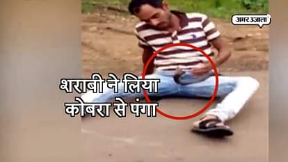 A drunk man bitten by cobra snake in navsari, gujrat 