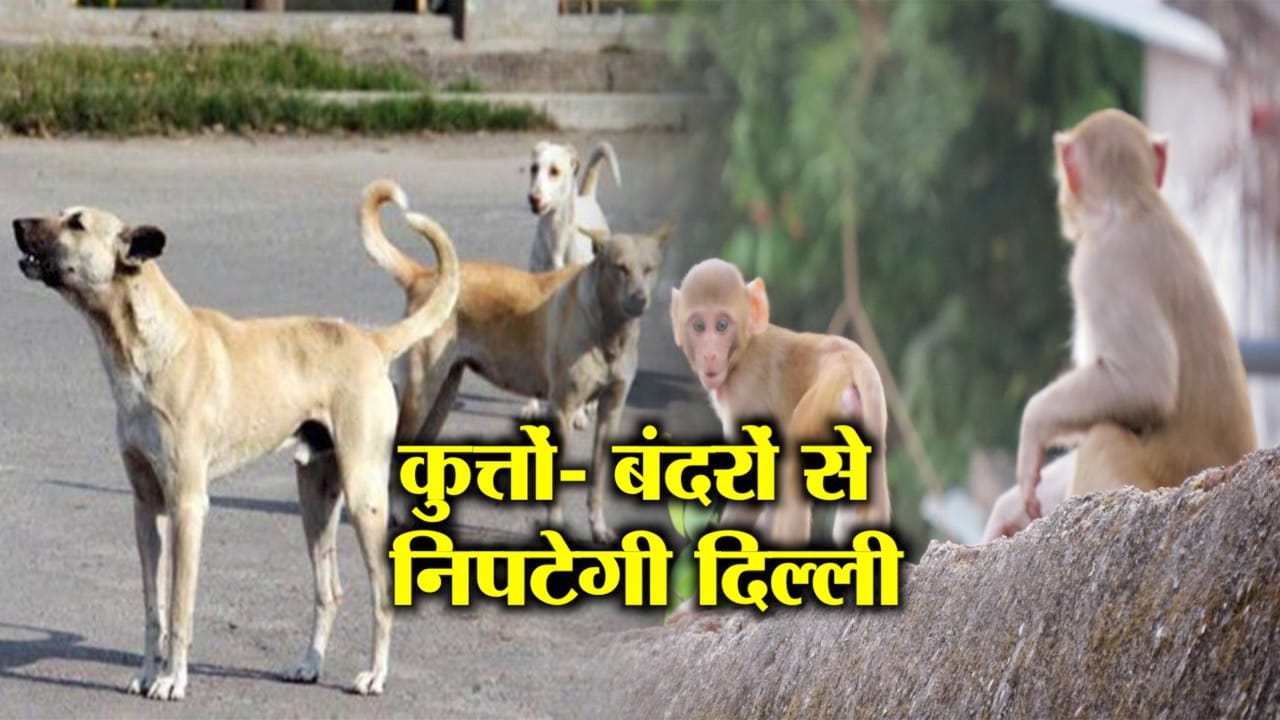 दिल्ली 