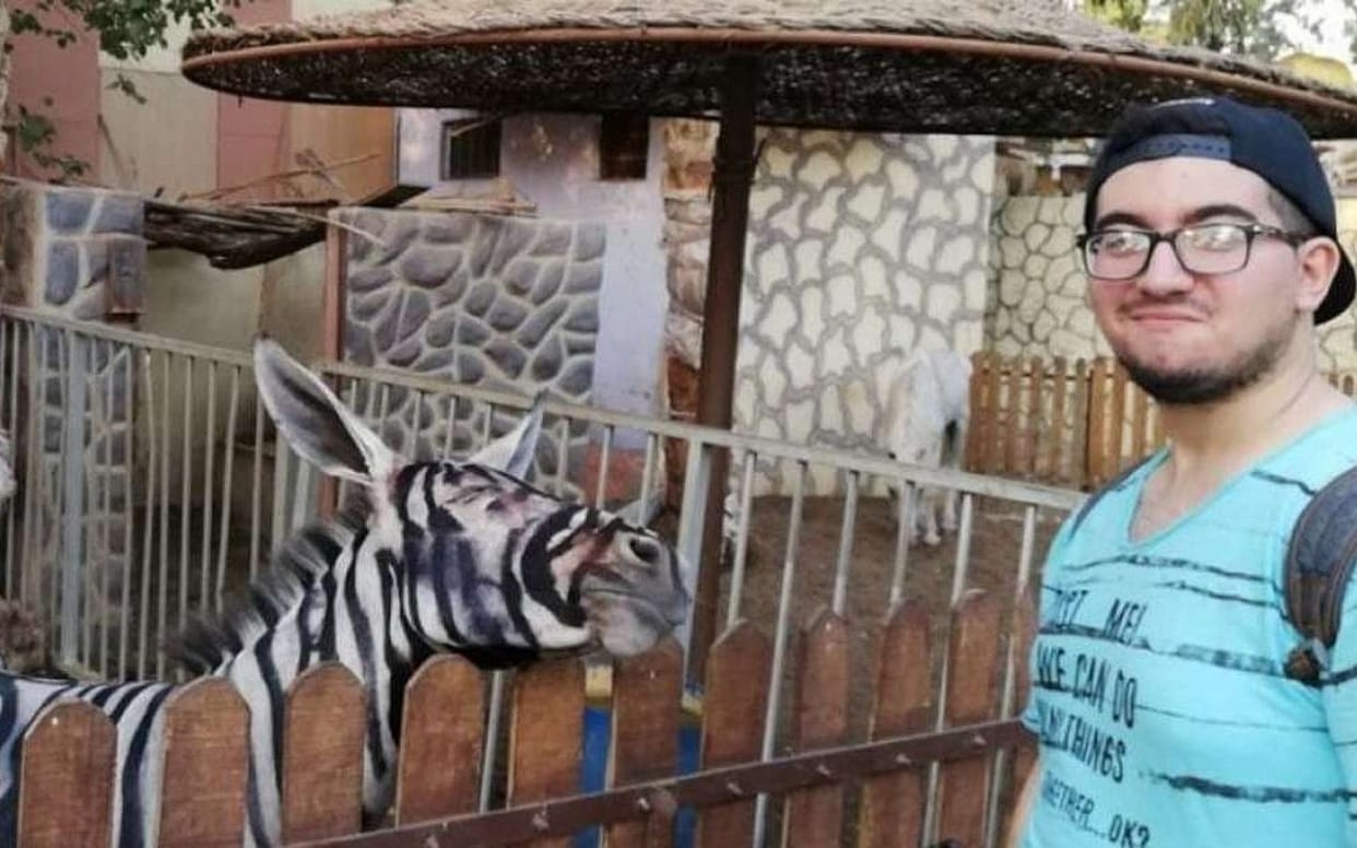 Zoo workers of Egypt painted donkey to look like a zebra