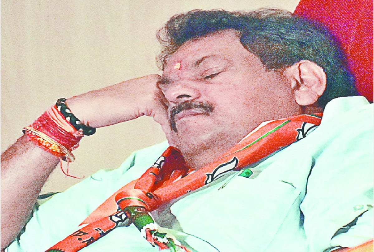 BJP Leader was sleeping at the BJP Working Committee meeting, see photos