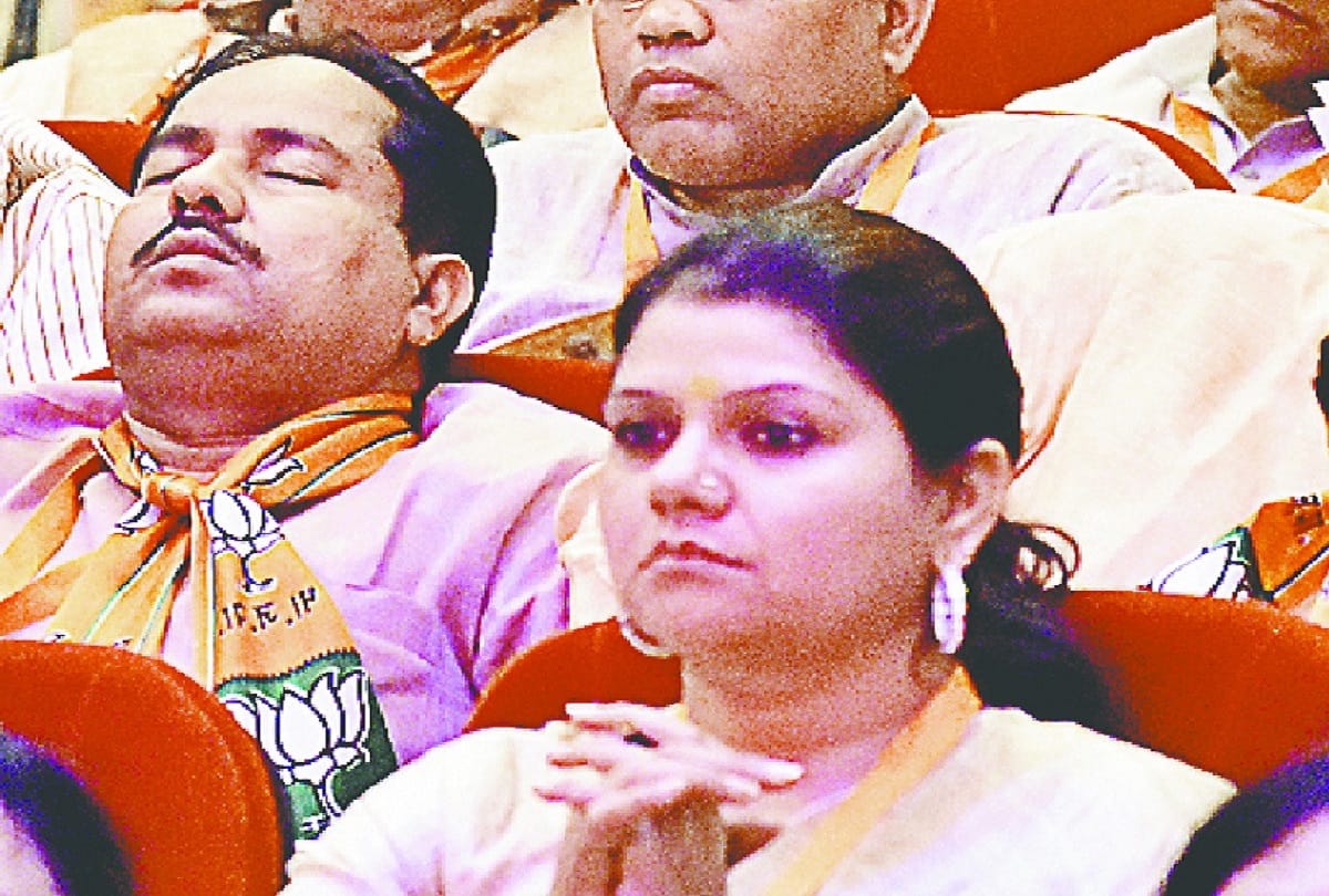 BJP Leader was sleeping at the BJP Working Committee meeting, see photos