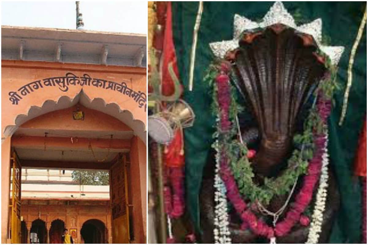 famous temple of snakes which is famous for kaal sarp yog in india