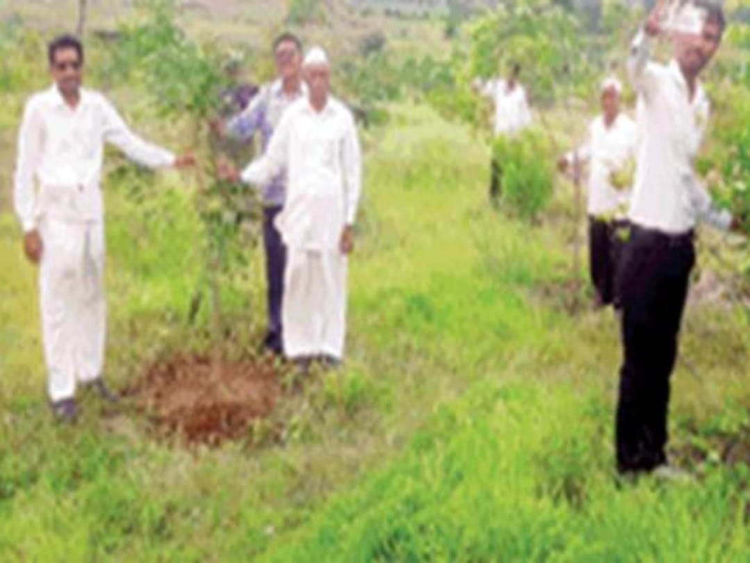 Unique tradition in cemetery, people celebrating plants birthday in MP village