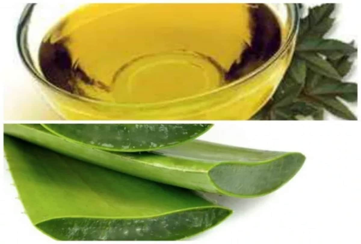Skin Care Tips Aloe Vera Gel Removes Skin Problems know about its benefits