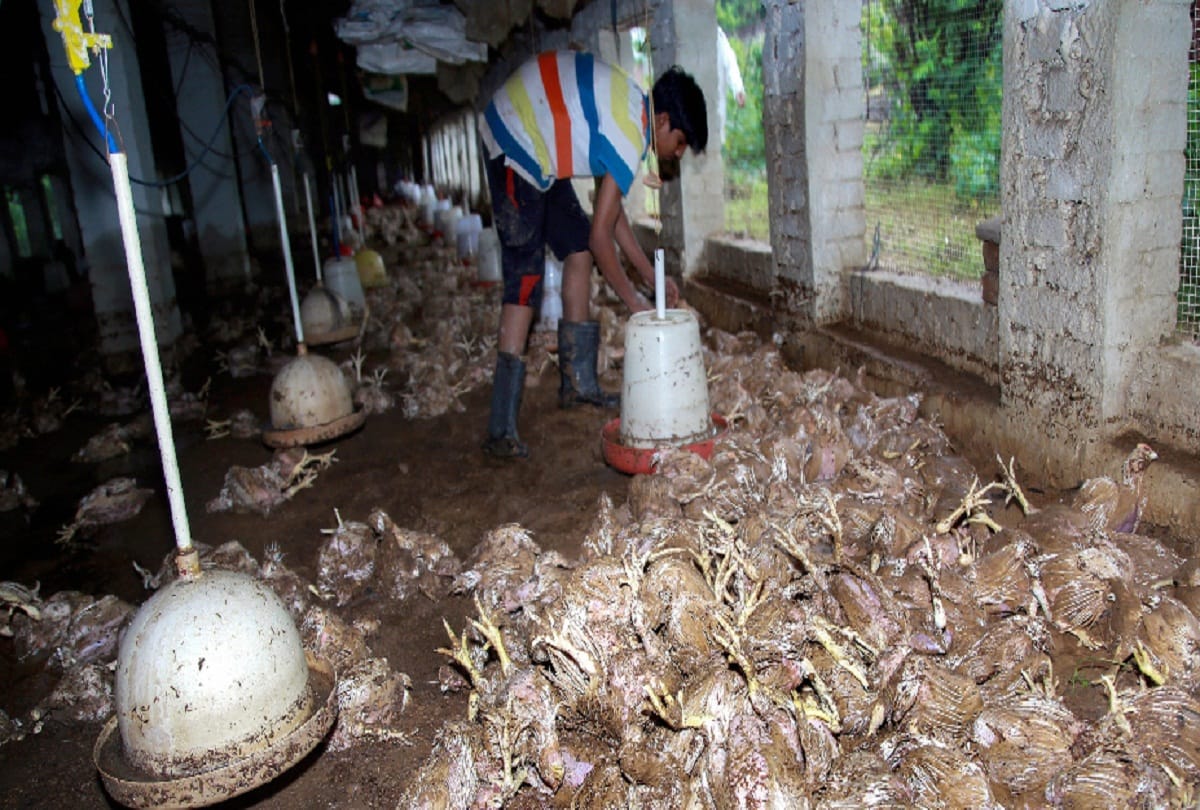 heavy rainfall in jammu and kashmir,houses shower in flood water