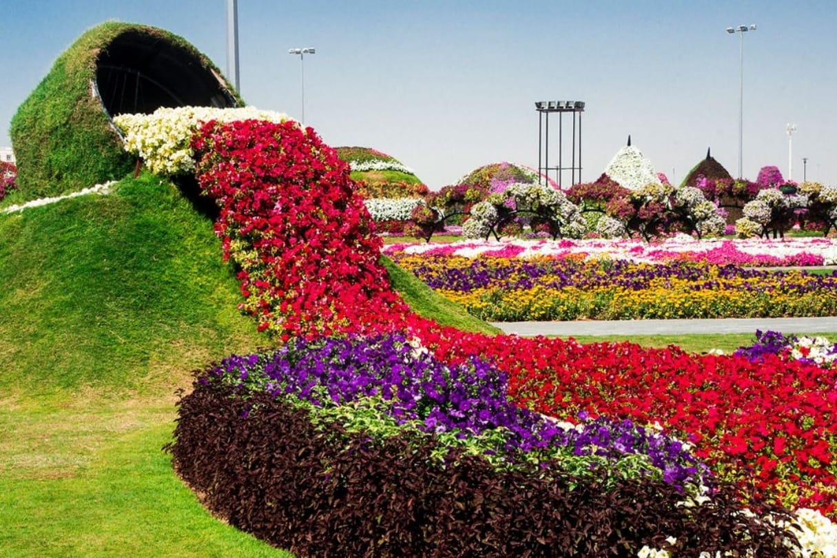 Know about the miracle garden of Dubai