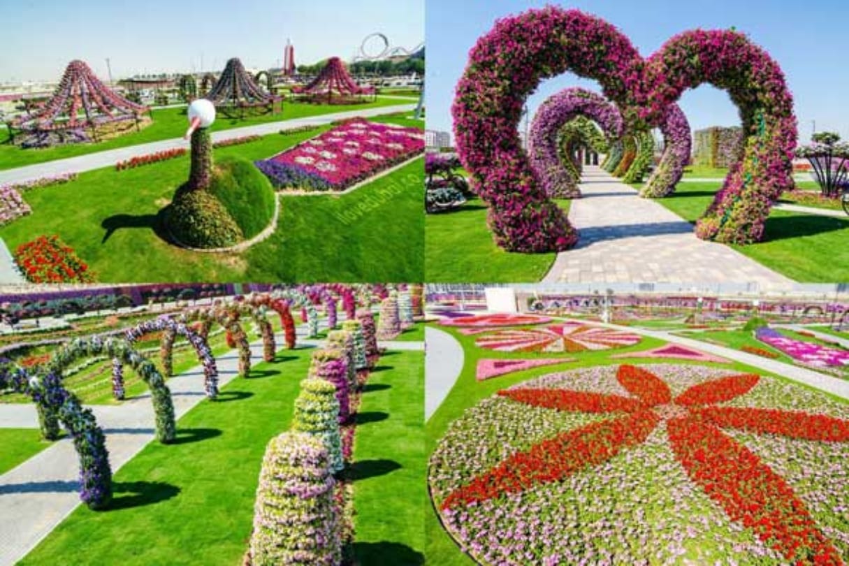Know about the miracle garden of Dubai