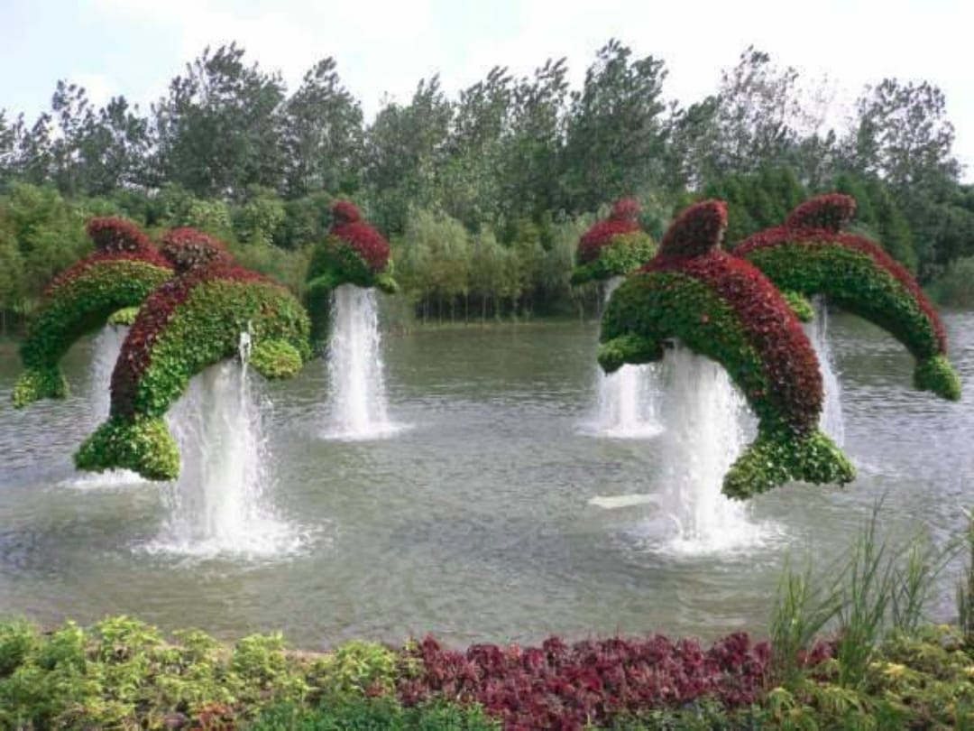 Know about the miracle garden of Dubai