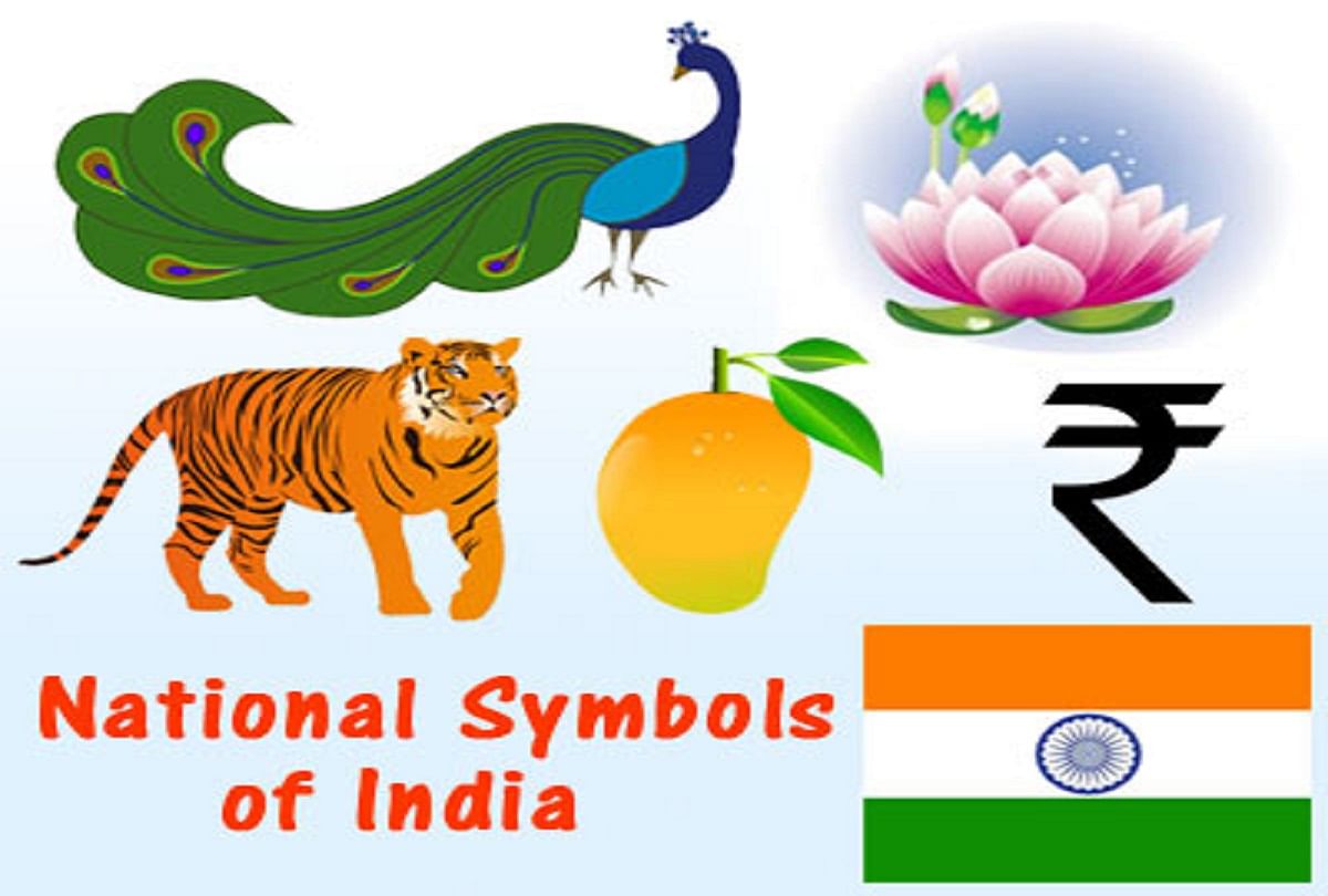 Indian Animals Of Worship And National Symbols In Flat Style With Indian  Man In Turban With Holy Cow, Elephant, Cobra, Monkey And Lotus, Tiger As  National Animal And Flower Symbols Royalty Free