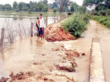 Then broken cane canal, hundreds of bigha fields submerged