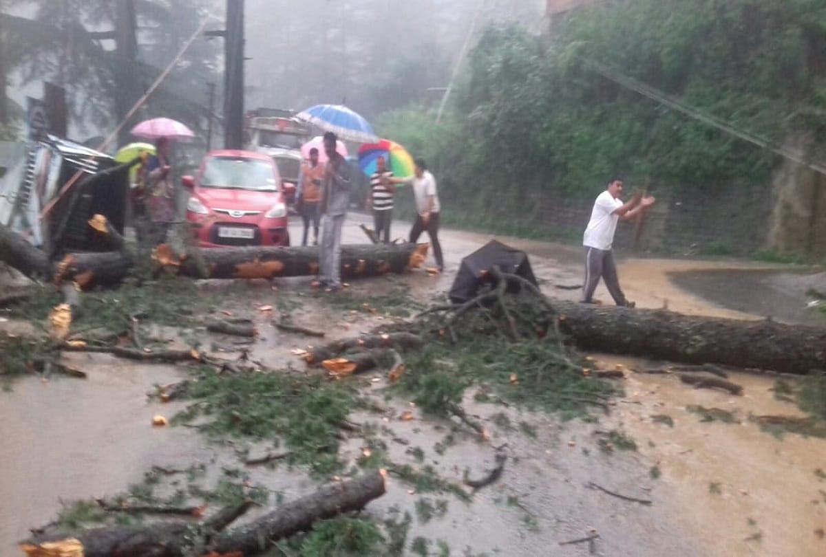 heavy rains in Himachal Pradesh, school closed in many district